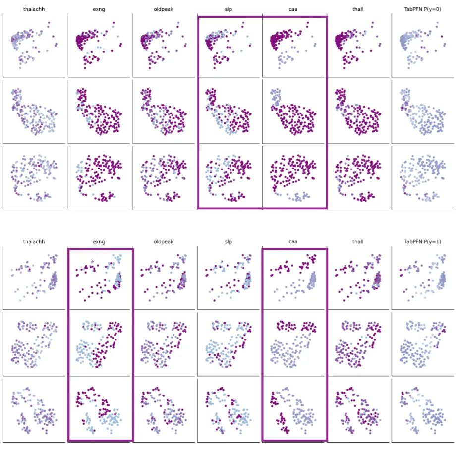 Risk stratification visualization for the Beyond Binary clinical machine learning project